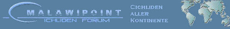 Banner Cichliden-Forum