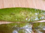 DSCN3144.jpg