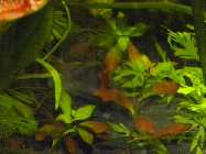 DSCN3488.jpg