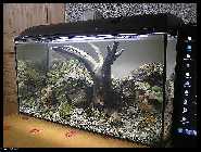 comp_P7200017 (800 x 600)pkr.jpg
