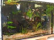 Becken 360l-2.jpg