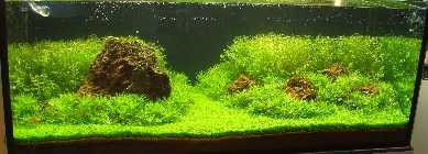 aqua1109.jpg