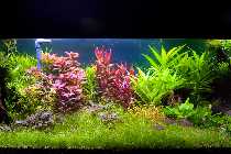 _MG_5558_1280.jpg