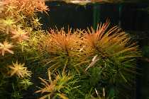 8.9.07 biderup2 004_(800_x_600).jpg
