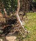 IMG_8330.jpg