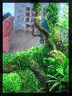 compAquarium Auenland 005.jpg