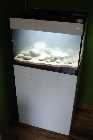DSC02428-small.jpg