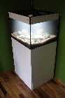 DSC02427-small.jpg