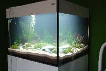 DSC02435-small.jpg