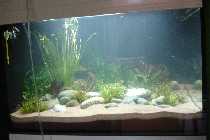 DSC02436-small.jpg