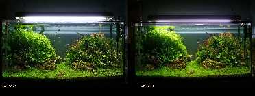 24_27.05.08-drak.jpg