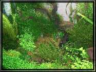compAquarium Auenland 125.jpg