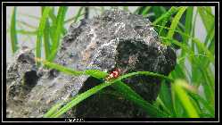 comp_DSC09882.jpg