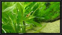 comp_DSC09886.jpg