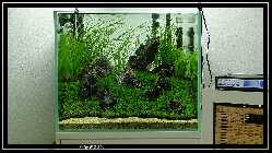 comp_DSC00016.jpg