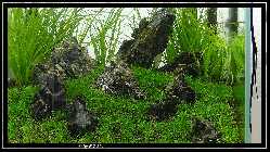 comp_DSC00018.jpg