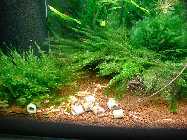24.06.11 011_(800_x_600).jpg