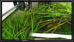comp_DSC00084.jpg