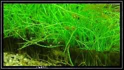 comp_DSC00086.jpg