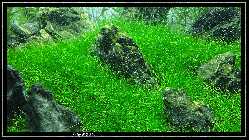 comp_DSC00117.jpg