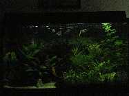 #LED-2011-07-30.jpg