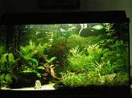 #rhren-2011-07-30.jpg