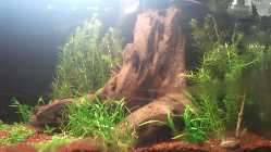 2011-08-26 16.24.54_1.jpg