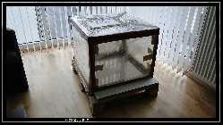comp_DSC08402.jpg