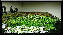 comp_DSC00972.jpg