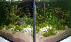 A071409_Kleines_65x55x50.jpg
