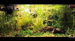 aq080112-1.jpg