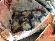 Fairydream 2  22.01.12DSCN5955.jpg