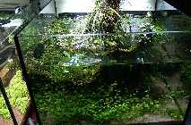 _A279485.jpg