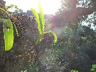 IMG_1100.jpg