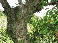 IMG_1409.jpg