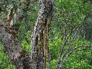 IMG_1476.jpg
