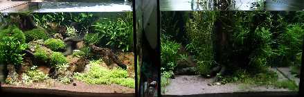 _A289497.jpg