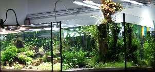_A289504.jpg