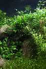 12_01_22 RIO 300_1822.jpg