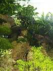 _A309512.jpg