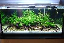 DSC02505-small.jpg