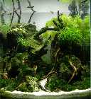 Cube_19022012.jpg