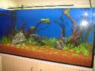 IMG_3011 [Desktop Aufl�sung].jpg