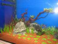 IMG_3012 [Desktop Aufl�sung].jpg