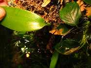 IMG_5537.jpg