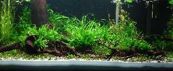 DSC02558-small.jpg