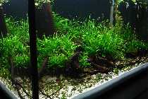 DSC02560-small.jpg