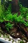 DSC02563-small.jpg