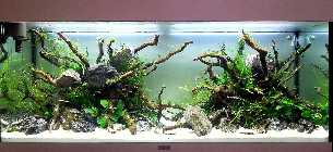 20121025_150515acp.jpg