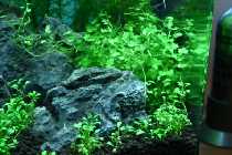 IMG_1590_.jpg
